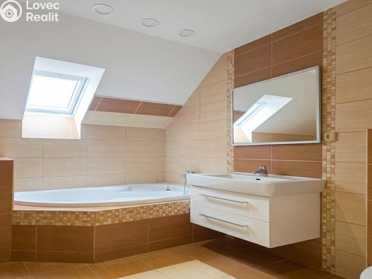 Аренда семейного дома Louny, Platanová 2813 č. 9