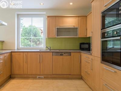 Аренда семейного дома Louny, Platanová 2813 č. 1