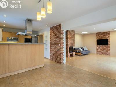 Аренда семейного дома Louny, Platanová 2813 č. 2