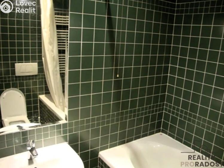 Pronájem bytu 2+1 Praha, Mexická č. 6