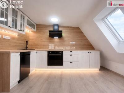 Pronájem bytu 2+KK Teplice, Baarova č. 1