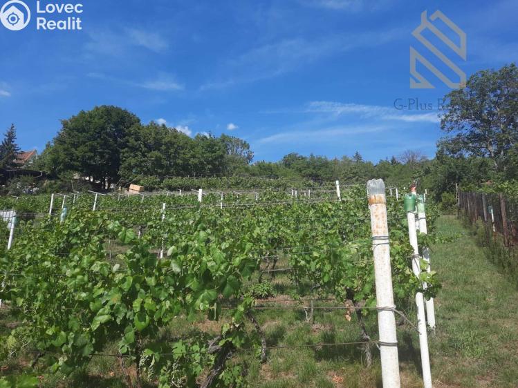 Prodej stavebního pozemku Velké Žernoseky č. 2