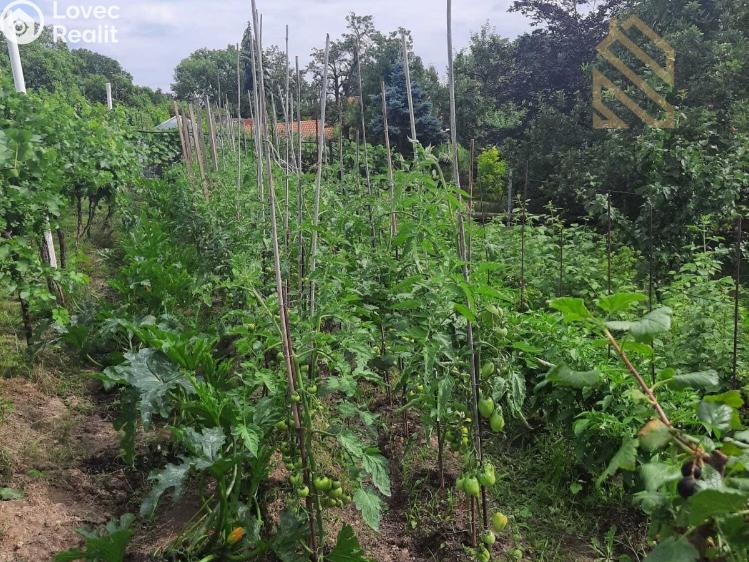 Prodej stavebního pozemku Velké Žernoseky č. 3