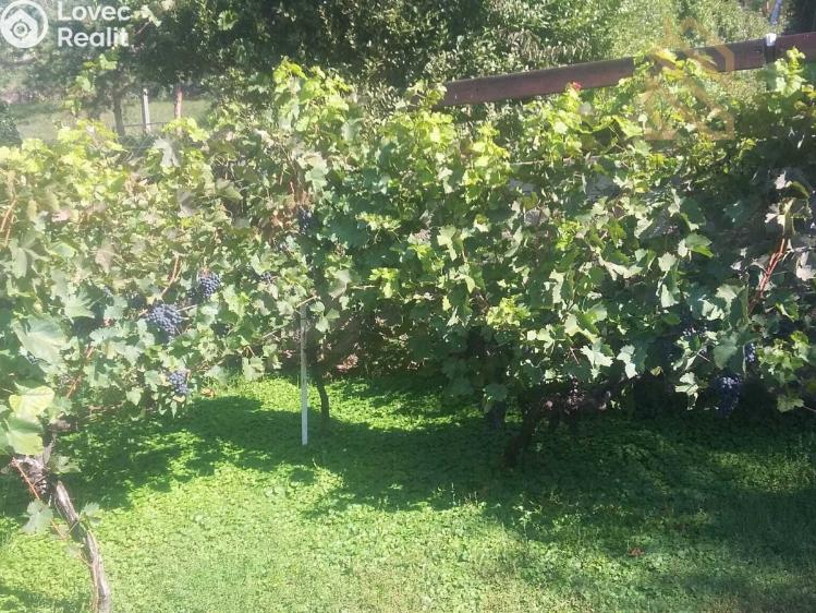 Prodej stavebního pozemku Velké Žernoseky č. 6