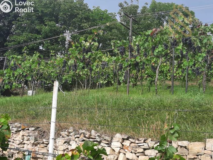 Prodej stavebního pozemku Velké Žernoseky č. 8