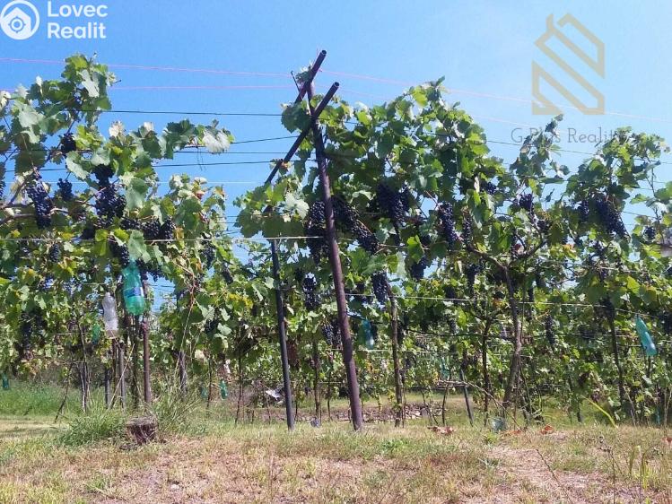 Prodej stavebního pozemku Velké Žernoseky č. 9