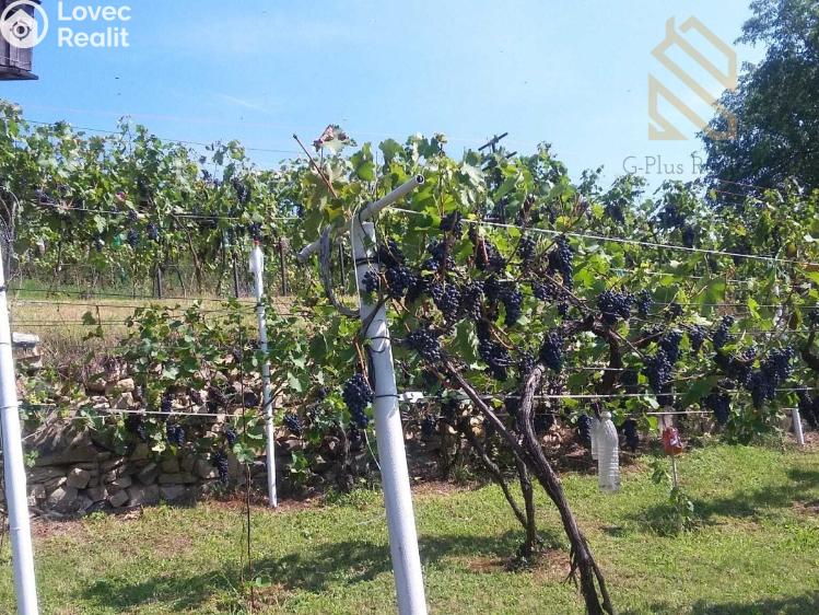 Prodej stavebního pozemku Velké Žernoseky č. 10