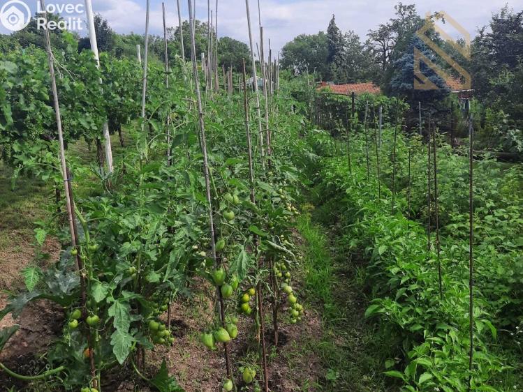 Prodej stavebního pozemku Velké Žernoseky č. 11