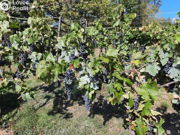 Prodej stavebního pozemku Velké Žernoseky č. 13