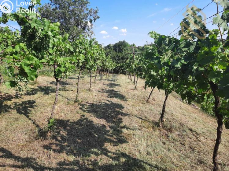 Prodej stavebního pozemku Velké Žernoseky č. 14