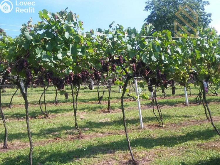 Prodej stavebního pozemku Velké Žernoseky č. 15