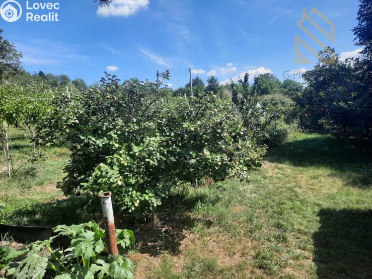 Prodej stavebního pozemku Velké Žernoseky č. 19