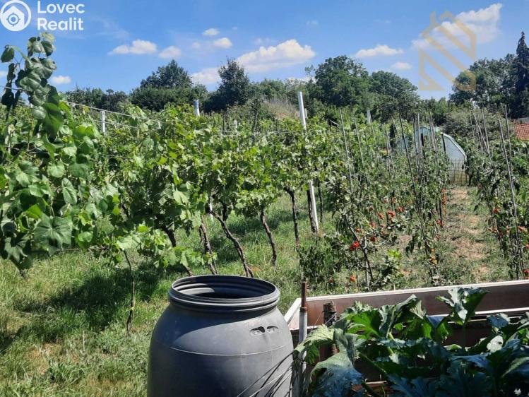 Prodej stavebního pozemku Velké Žernoseky č. 21