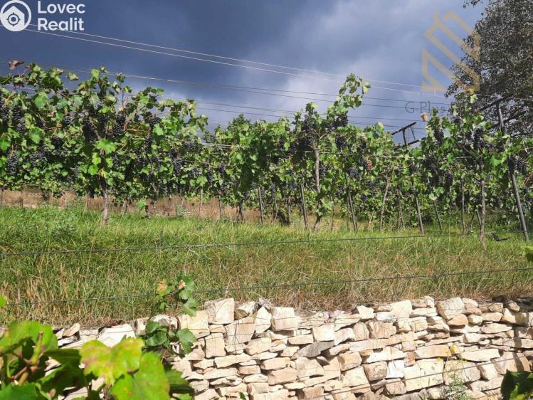 Prodej stavebního pozemku Velké Žernoseky č. 24