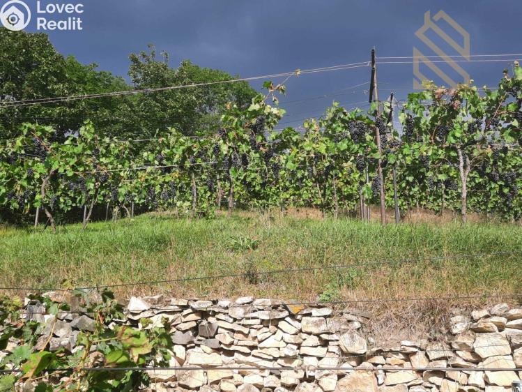 Prodej stavebního pozemku Velké Žernoseky č. 25