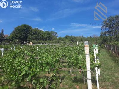 Prodej stavebního pozemku Velké Žernoseky č. 2