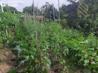 Prodej stavebního pozemku Velké Žernoseky č. 3