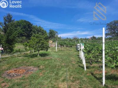 Prodej stavebního pozemku Velké Žernoseky č. 5