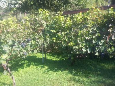 Prodej stavebního pozemku Velké Žernoseky č. 6