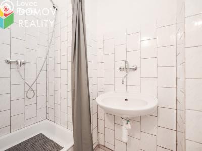 Pronájem bytu 1+KK Králův Dvůr, Plzeňská č. 6