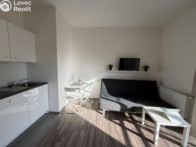 Prodej bytu 1+KK Mariánské Lázně, Dvořákova 736/4 č. 8