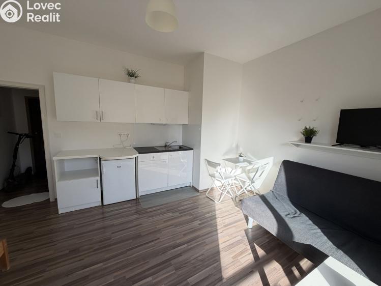 Prodej bytu 1+KK Mariánské Lázně, Dvořákova 736/4 č. 9