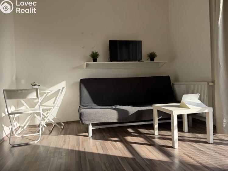 Prodej bytu 1+KK Mariánské Lázně, Dvořákova 736/4 č. 12