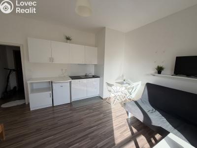 Prodej bytu 1+KK Mariánské Lázně, Dvořákova č. 8