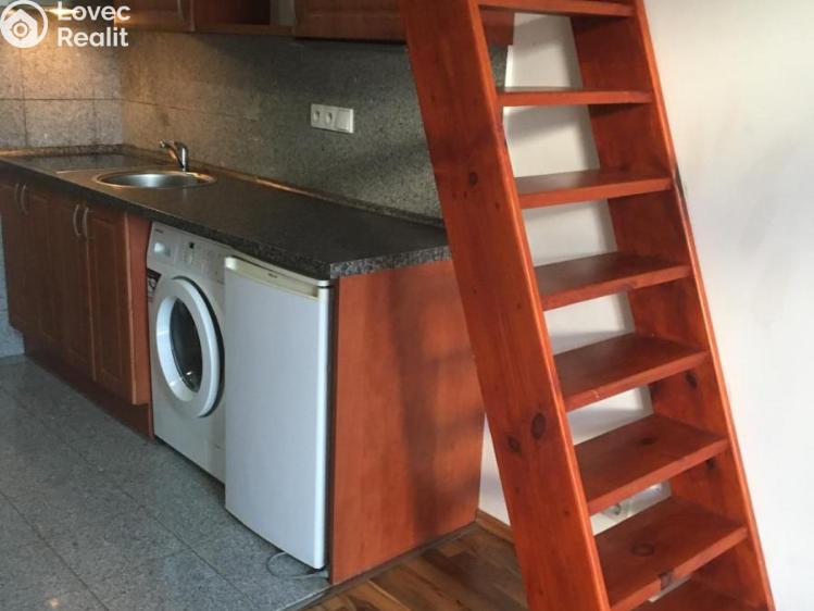 Pronájem bytu 1+KK Praha, Freyova č. 1