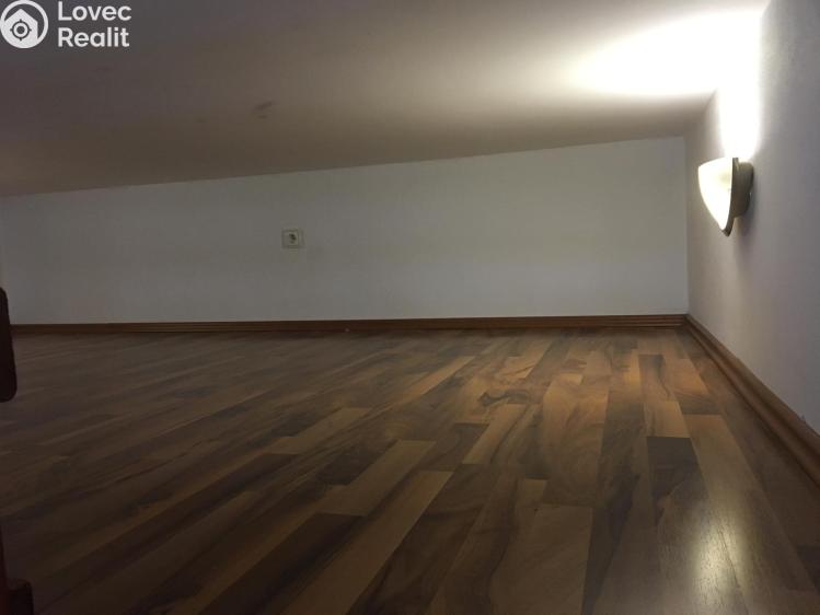 Pronájem bytu 1+KK Praha, Freyova č. 6