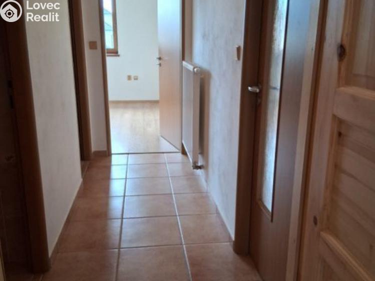 Pronájem bytu 2+1 České Budějovice, Palmová č. 1