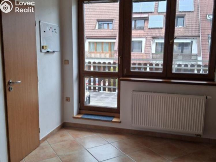 Pronájem bytu 2+1 České Budějovice, Palmová č. 3