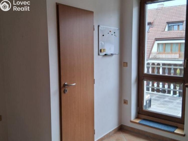 Pronájem bytu 2+1 České Budějovice, Palmová č. 4