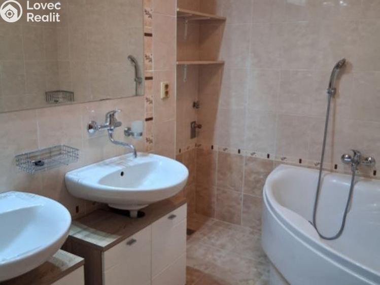 Pronájem bytu 2+1 České Budějovice, Palmová č. 10