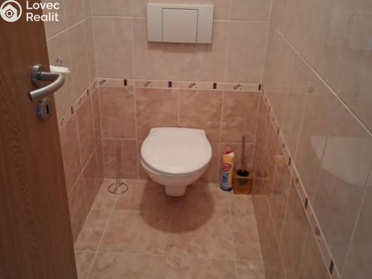 Pronájem bytu 2+1 České Budějovice, Palmová č. 11