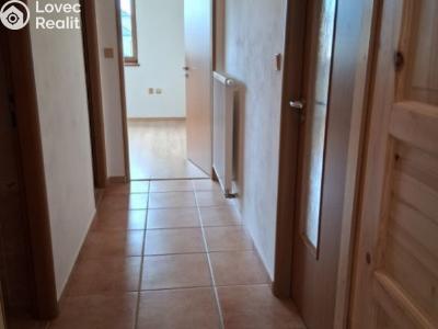 Pronájem bytu 2+1 České Budějovice, Palmová č. 1