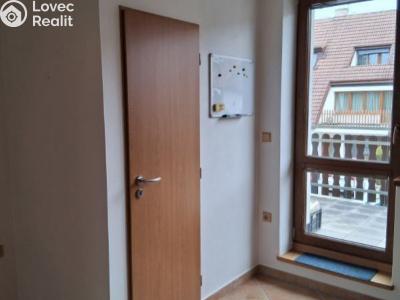 Pronájem bytu 2+1 České Budějovice, Palmová č. 4