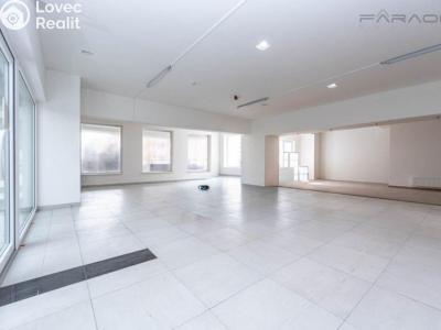 Pronájem obchodního prostoru Praha, Prusíkova č. 2