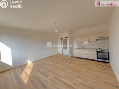 Pronájem bytu 2+KK Ústí nad Labem, Keplerova č. 4