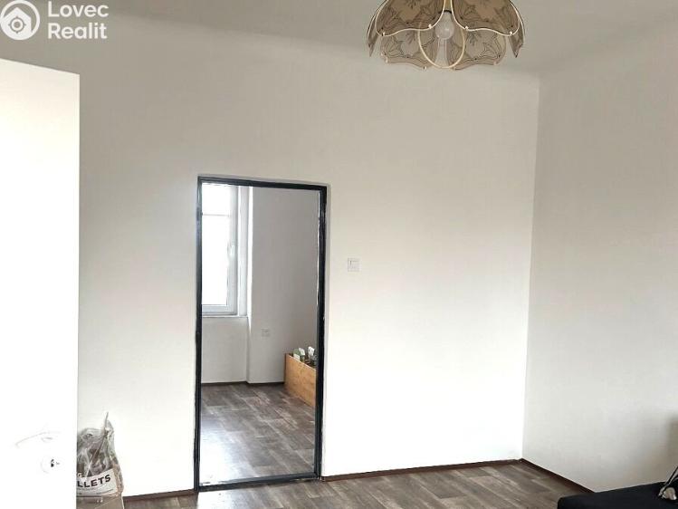 Pronájem bytu 2+1 Cheb č. 4