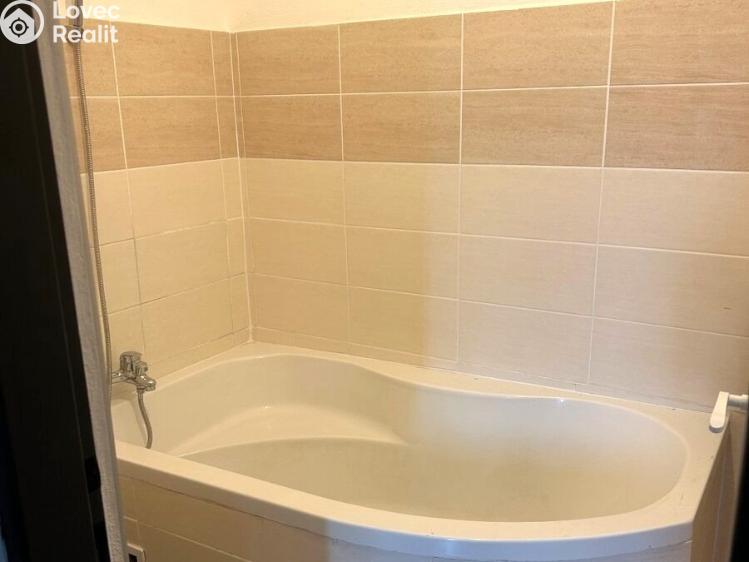 Pronájem bytu 2+1 Cheb č. 6