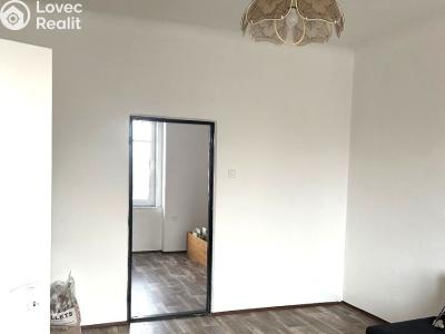 Pronájem bytu 2+1 Cheb č. 4