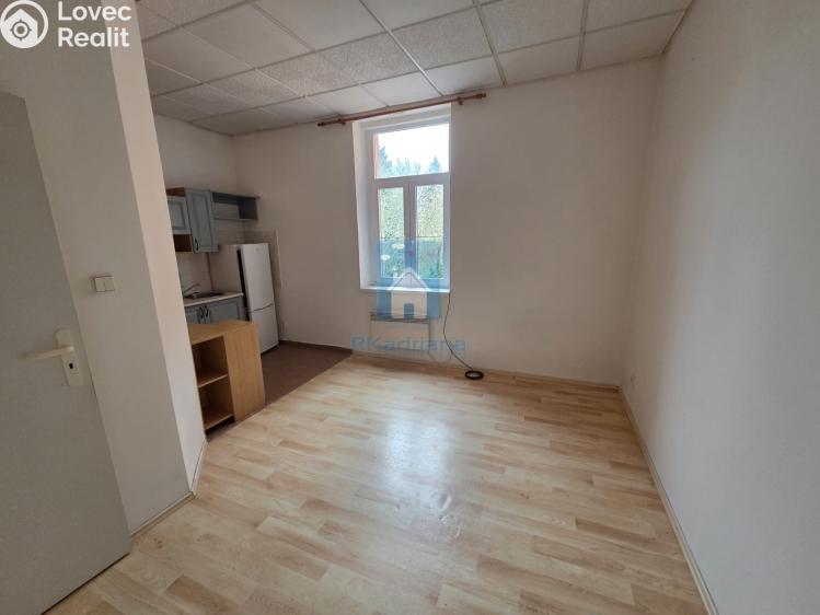 Pronájem bytu 1+KK Plzeň, Rokycanská č. 4