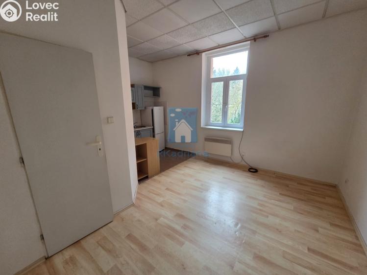 Pronájem bytu 1+KK Plzeň, Rokycanská č. 5