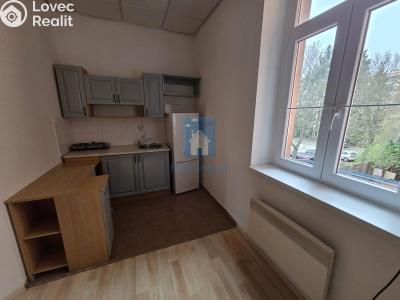 Pronájem bytu 1+KK Plzeň, Rokycanská č. 2