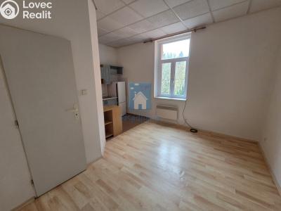 Pronájem bytu 1+KK Plzeň, Rokycanská č. 5