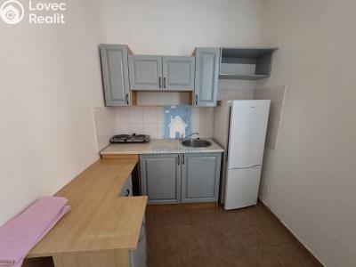 Pronájem bytu 1+KK Plzeň, Rokycanská č. 3