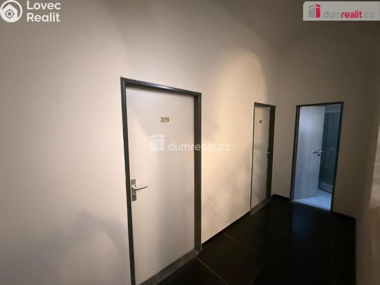 Pronájem bytu 1+KK Mariánské Lázně, Nehrova č. 6