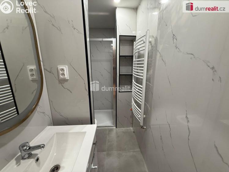 Pronájem bytu 1+KK Mariánské Lázně, Nehrova č. 15