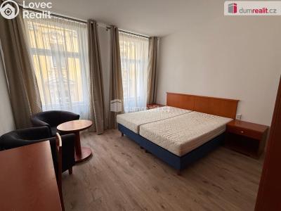 Pronájem bytu 1+KK Mariánské Lázně, Nehrova č. 1